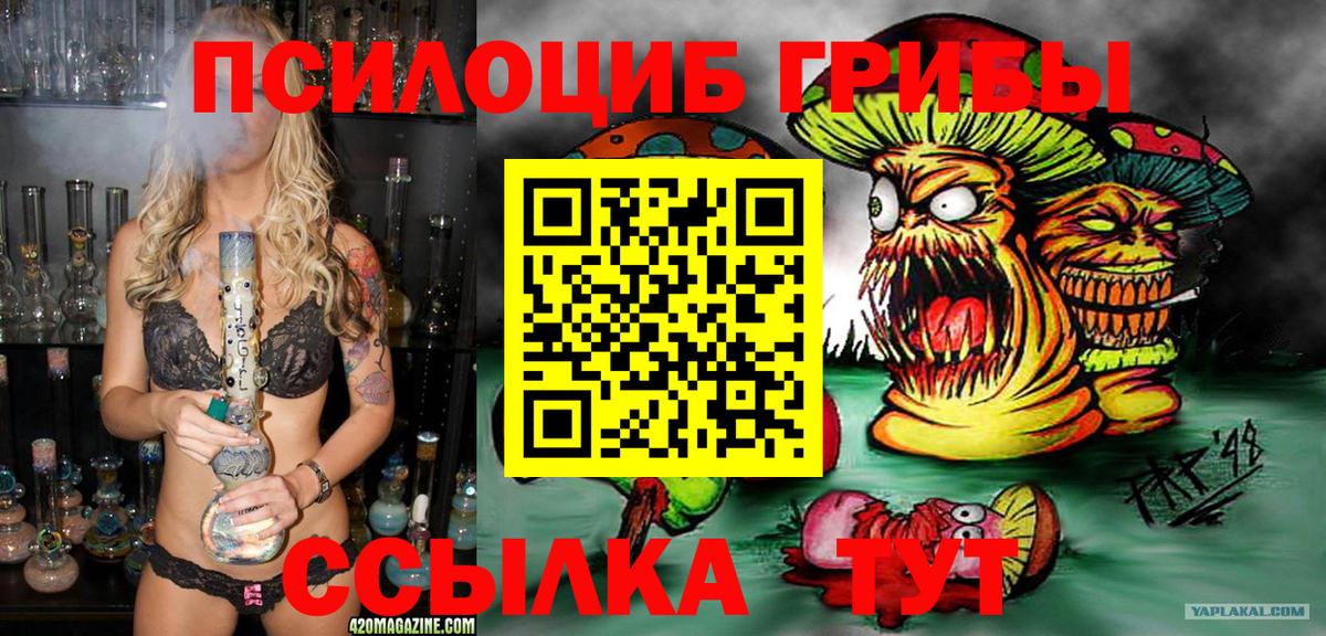 Псилоцибиновые грибы Psilocybine cubensis  Вход с VPN  Псилоцибиновые грибы мухоморы  Железноводск 