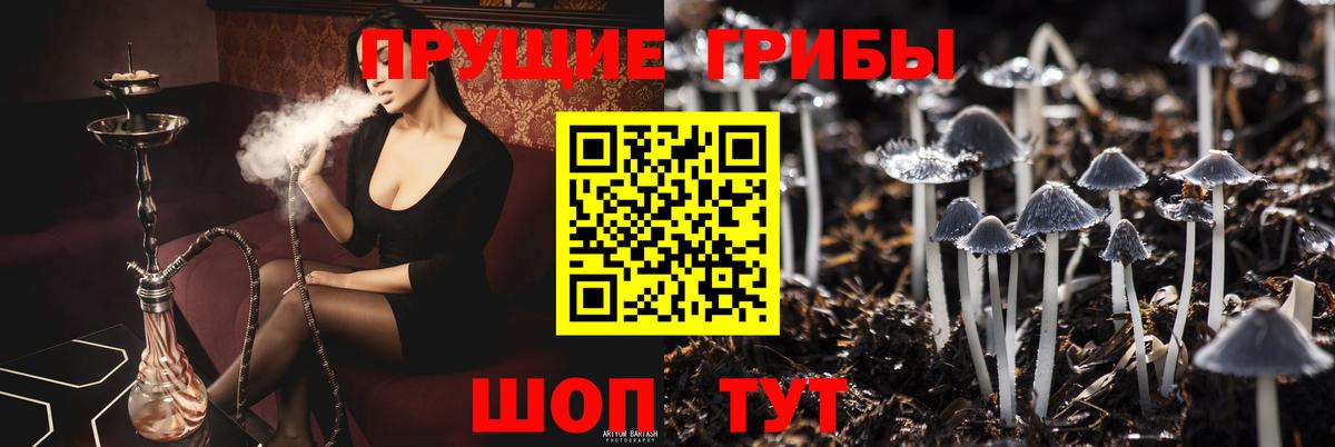 Галлюциногенные грибы прущие грибы Железноводск